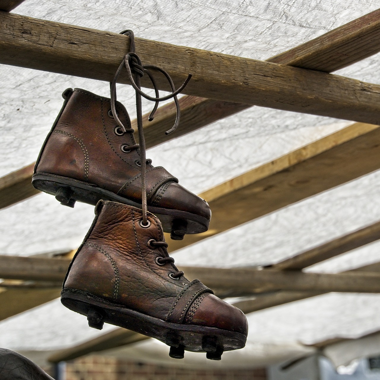 Premium Safety Shoes